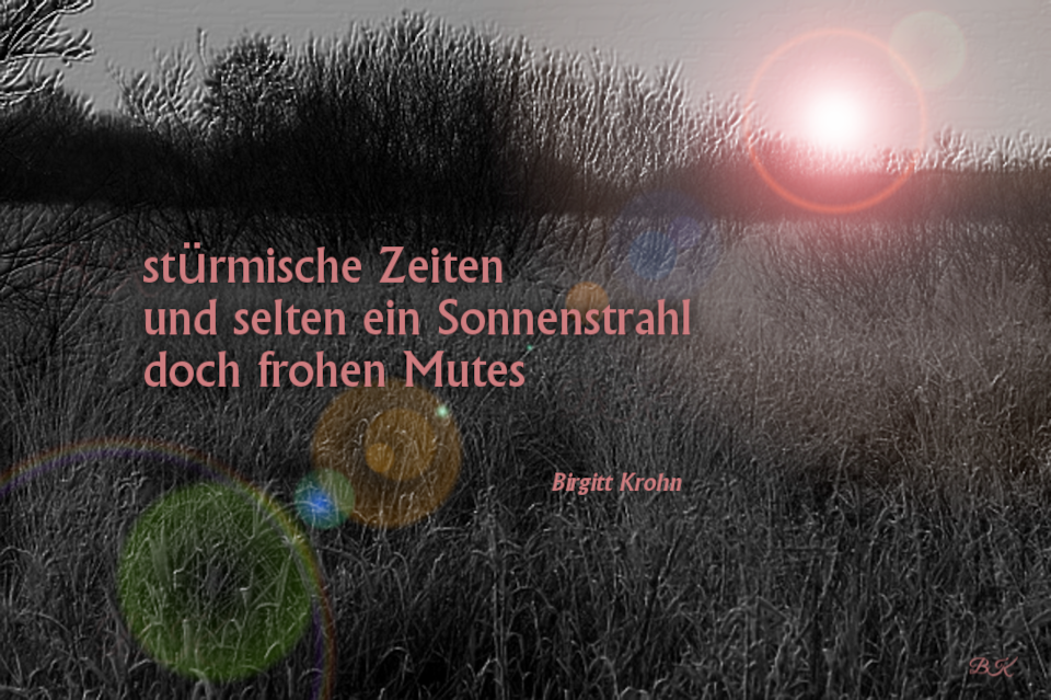 Bildinschrift ein Haiku von Birgitt Krohn: stürmische Zeiten / und selten ein Sonnenstrahl / doch frohen Mutes
