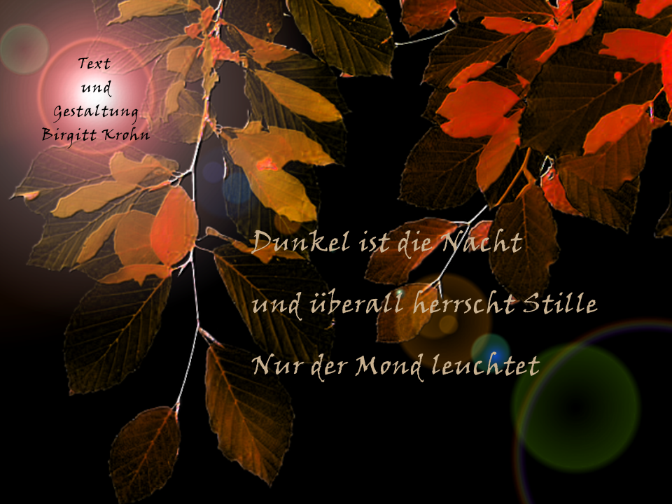 Haiku von Birgitt Krohn: Dunkel ist die Nacht / und überall herrscht Stille / Nur der Mond leuchtet