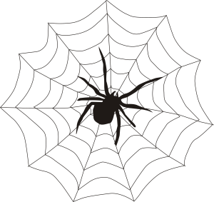 Spinnennetz